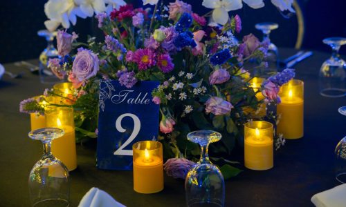 491712117 1084787287001706 8404807098012744374 n - Dazzle Events And Weddings - Beatrice